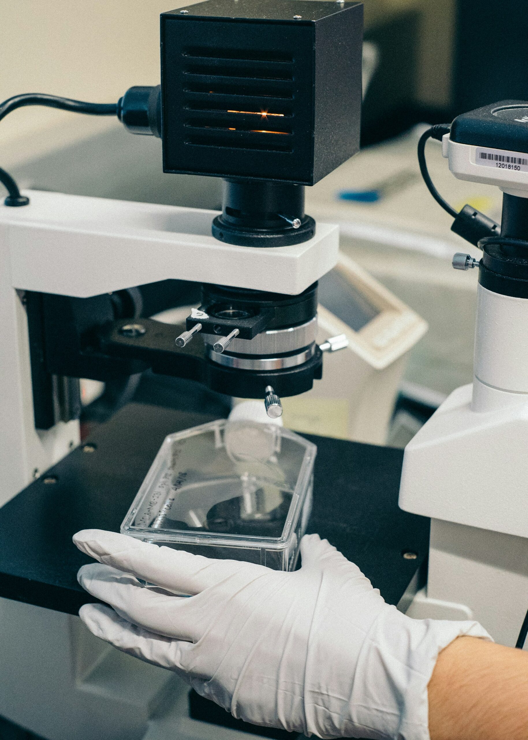 Embryologist analyzing sample under microscope in IVF laboratory
